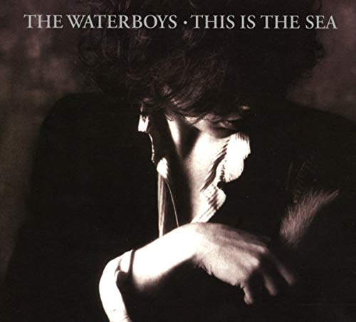 Waterboys - This Is The Sea - CD image 1