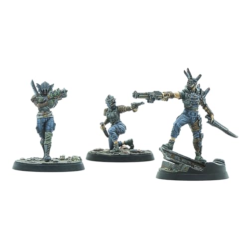 Fallout - Fo Ww Raiders Disciples Leader - Indies Merchandise image 1
