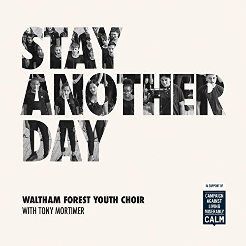 WALTHAM FOREST YOUTH - STAY ANOTHER DAY - 5" CD MAXI SINGLE image 1