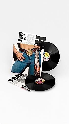 BRAND NEW HEAVIES - NEVER STOP (BEST OF) (2LP) - Vinyl Record image 2