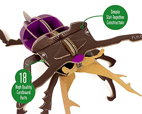 Mini Build - Stag Beetle - Mixed Media image 2