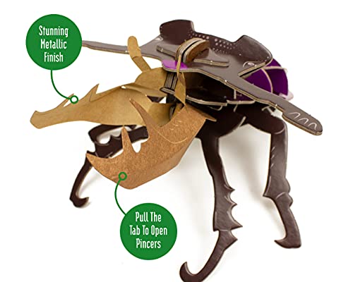 Mini Build - Stag Beetle - Mixed Media image 3