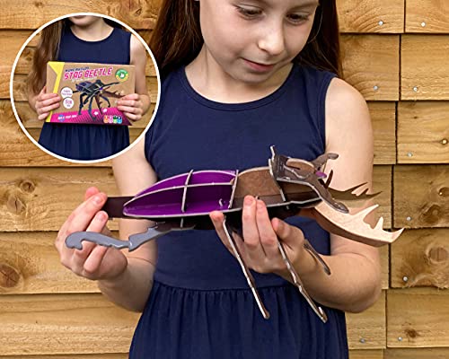 Mini Build - Stag Beetle - Mixed Media image 6
