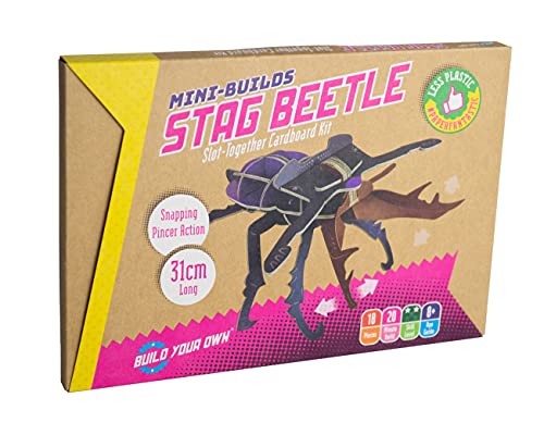 Mini Build - Stag Beetle - Mixed Media image 8