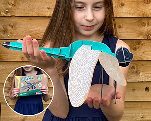 Mini Build - Dragonfly - Mixed Media image 6