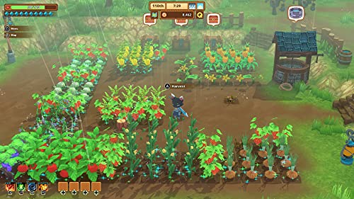 Generic Brand - Kitaria Fables - PS5 image 3