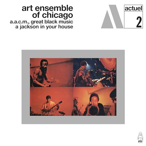 ART ENSEMBLE OF CHIC - A Jackson In Your House - CD image 1