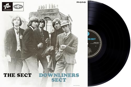 DOWNLINERS SECT - Sect - Vinyl Record image 1