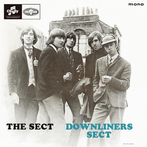 DOWNLINERS SECT - Sect - Vinyl Record image 2