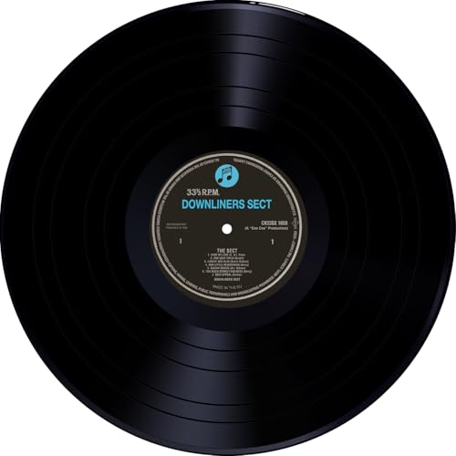 DOWNLINERS SECT - Sect - Vinyl Record image 4