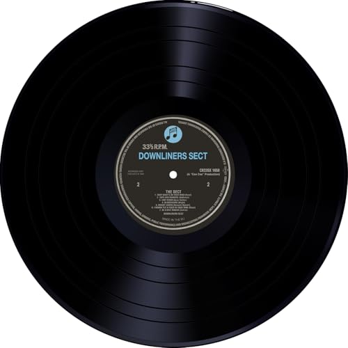 DOWNLINERS SECT - Sect - Vinyl Record image 5