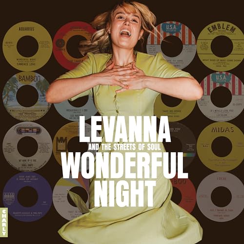VARIOUS ARTISTS - Wonderful Night Curated By Levanna - CD image 1