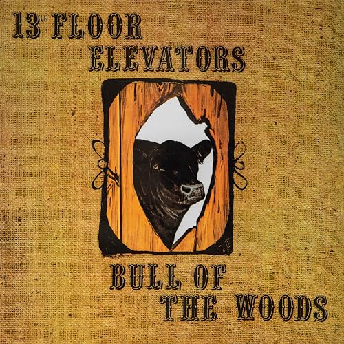 13TH FLOOR ELEVATORS - Bull Of The Woods - CD