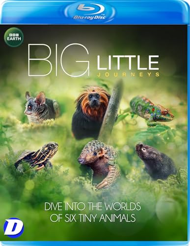 Big Little Journeys - Big Little Journeys - Bluray