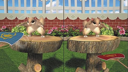 FUN FUN ANIMAL PARK CIB - Nintendo Switch image 3
