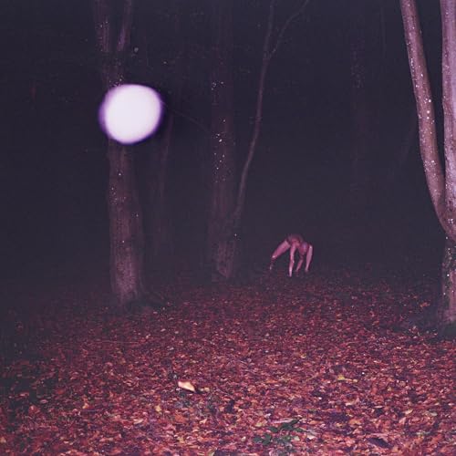 Buzzard Buzzard Buzz - Skinwalker - CD