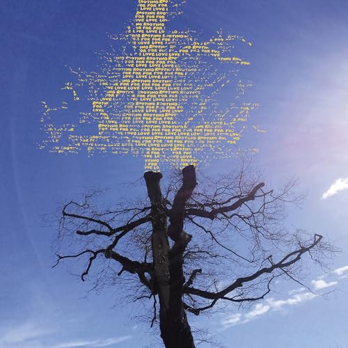 LAETITIA SADIER - ROOTING FOR LOVE - Vinyl Record VL image 1