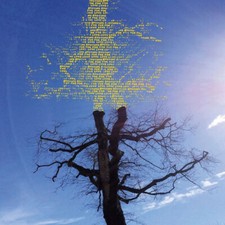 LAETITIA SADIER - ROOTING FOR LOVE - CD image 1