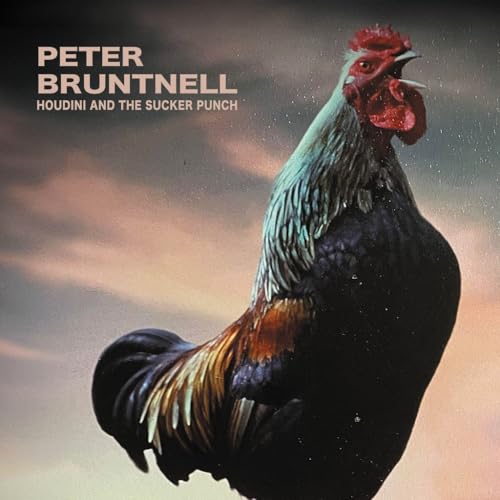 PETER BRUNTNELL - HOUDINI AND THE SUCKER PUNCH [VINYL] - Vinyl Record image 1