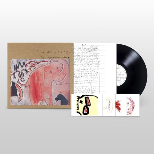 Graham Coxon - Sky Is Too High - Vinyl Record lp image 1