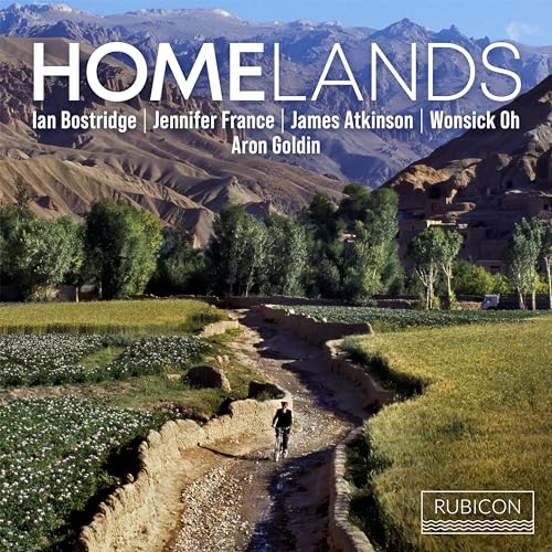 ARON GOLDIN - HOMELANDS - CD ALBUM image 1