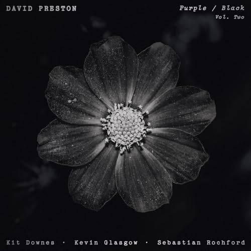 David Preston - Volume 2 - Purple/Black - Vinyl Record image 1