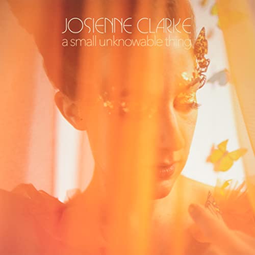 JOSIENNE CLARKE - A SMALL UNKNOWABLE THING - Vinyl Record 12" RECORD image 1