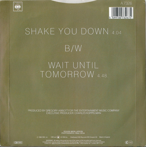 Gregory Abbott - Shake You Down - Used Vinyl Record 7" image 2
