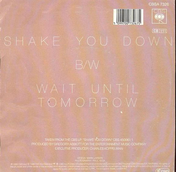 Gregory Abbott - Shake You Down - Used Vinyl Record 7" image 6