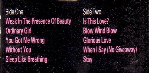 Alison Moyet - Raindancing - Used Cassette image 2