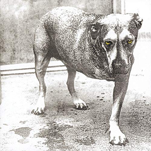 Alice In Chains - CD image 1