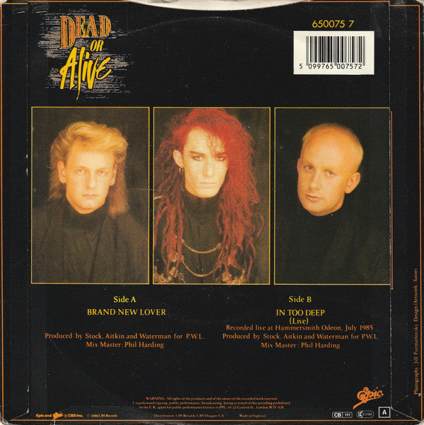 Dead Or Alive - Brand New Lover - Used Vinyl Record 7" image 6