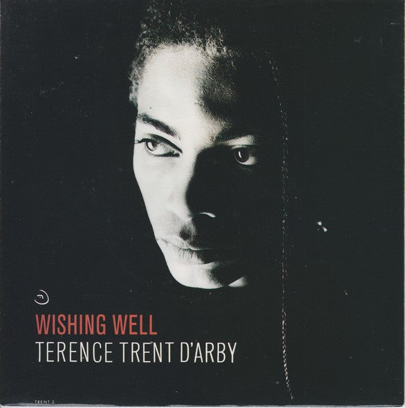 Terence Trent D'Arby - Wishing Well - Used Vinyl Record 7" image 1