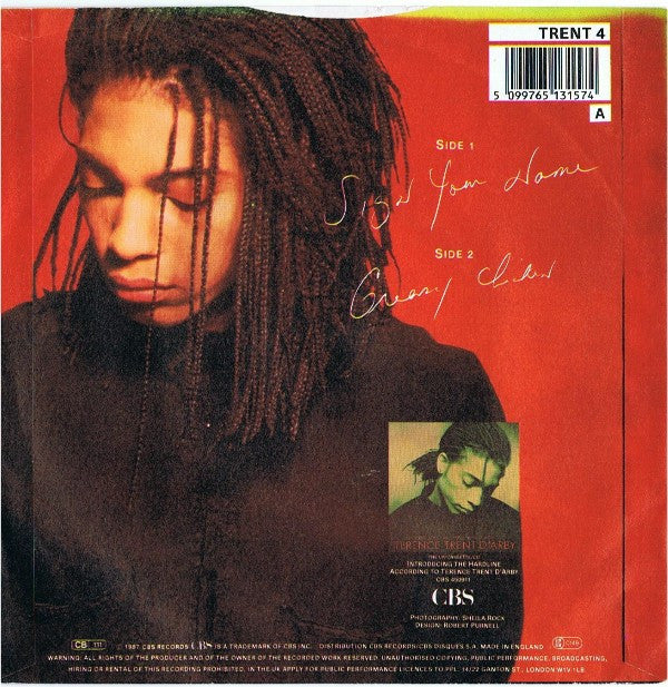 Terence Trent D'Arby - Sign Your Name - Used Vinyl Record 7" image 2