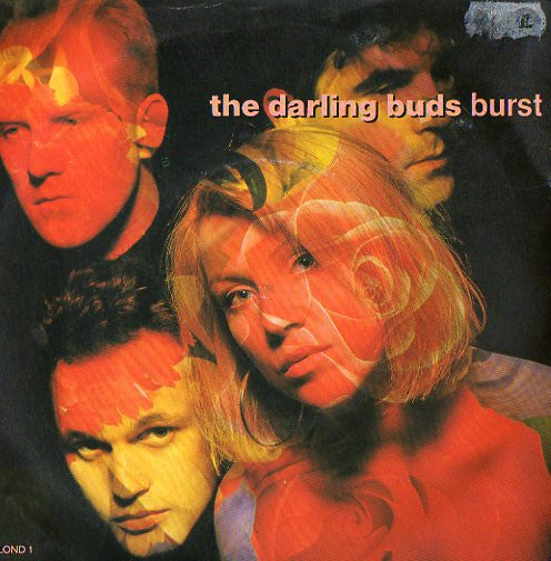 Darling Buds - Burst - Used Vinyl Record 7" image 1