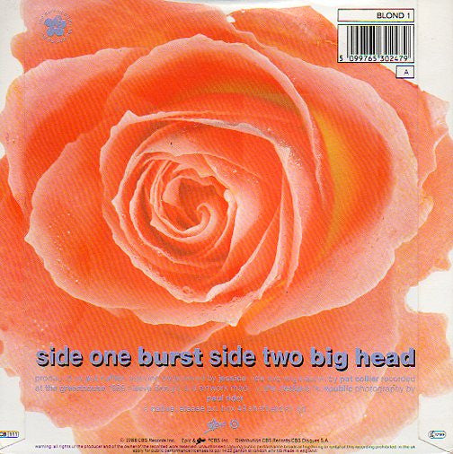 Darling Buds - Burst - Used Vinyl Record 7" image 2