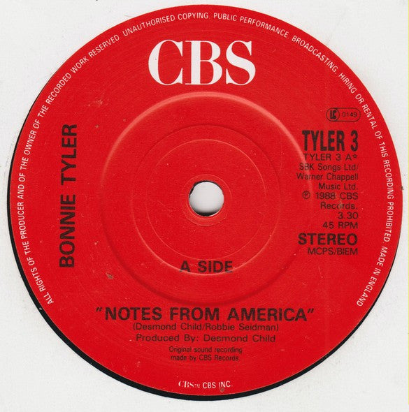 Bonnie Tyler - Notes From America - Used Vinyl Record 7" image 7
