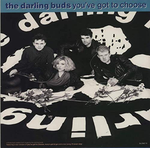 Darling Buds - You've Got To Choose - Used Vinyl Record 12" image 1