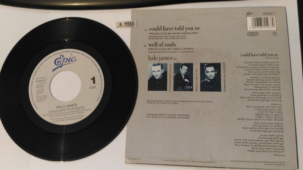 Halo James - Could Have Told You So - Used Vinyl Record 7" image 2