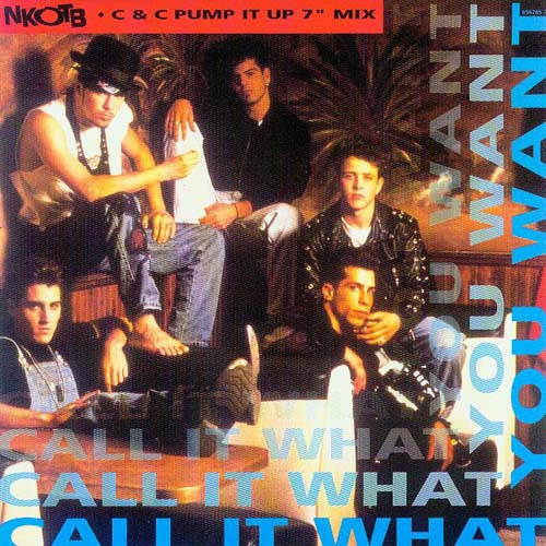 New Kids On The Bloc - Call It What You Want - Used Vinyl Record 7" image 1