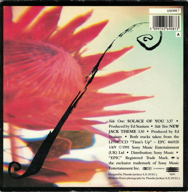 Living Colour - Solace Of You - Used Vinyl Record 7" image 2