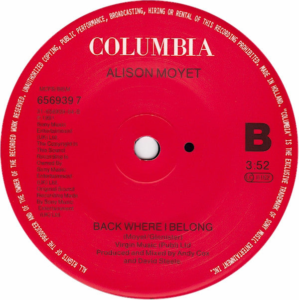 Alison Moyet - Wishing You Were Here - Used Vinyl Record 7" image 8