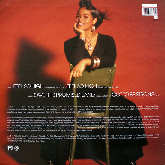 Des'ree - Feel So High - Used Vinyl Record 12" image 2