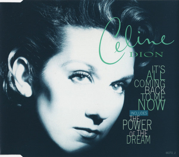 Celine Dion - It's All Coming Back To Me Now - Used CD image 1