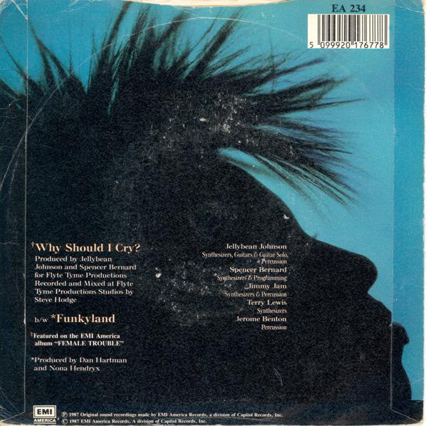 Nona Hendryx - Why Should I Cry? - Used Vinyl Record 7" image 2