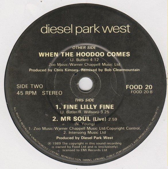 Diesel Park West - When The Hoodoo Comes (The Hoodoo Ep) - Used Vinyl image 4