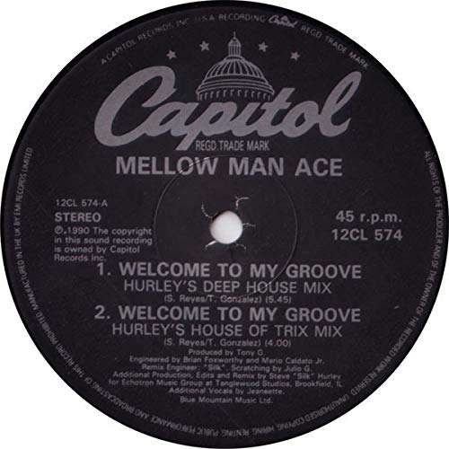 Mellow Man Ace - Welcome To My Groove - Used Vinyl Record 12" image 2