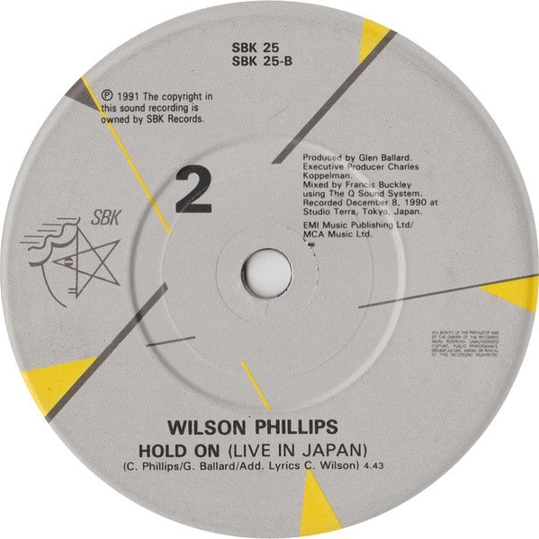 Wilson Phillips - You're In Love / Hold On - Live In Japan - Used Vin image 8