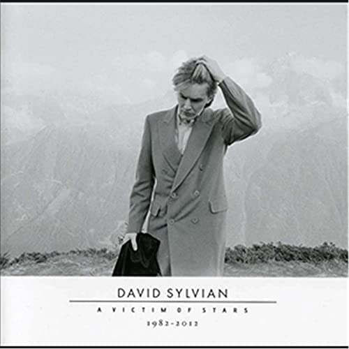 David Sylvian - A Victim Of Stars 1982 - 2012 - CD2 image 1