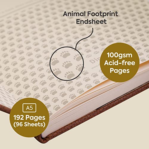 Dingbats A5+ Wildlife Brown Bear Notebook - Dotted - Non-book item image 2